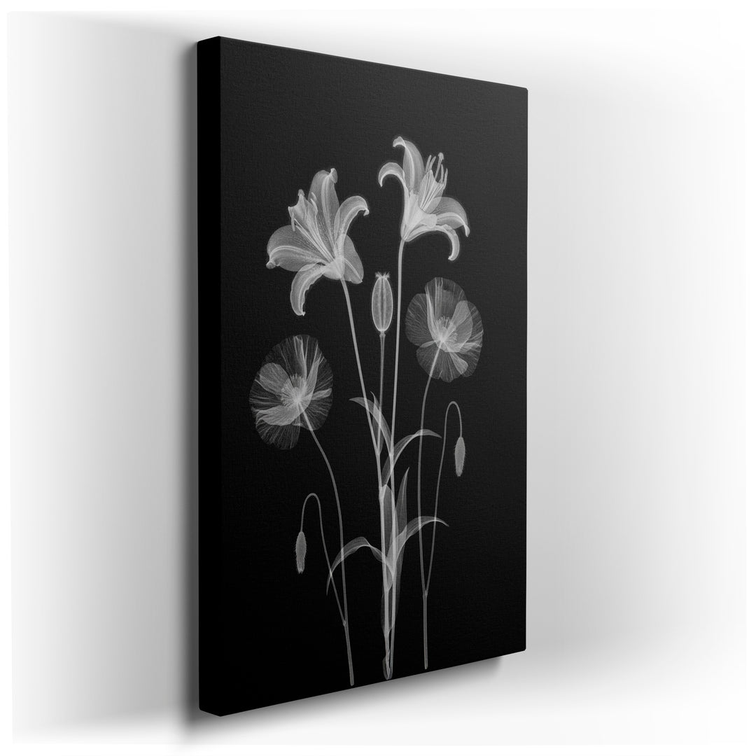 Ethereal depiction shows translucent lilies and poppies in this striking x-ray floral wall art, creating a ghostly botanical display.