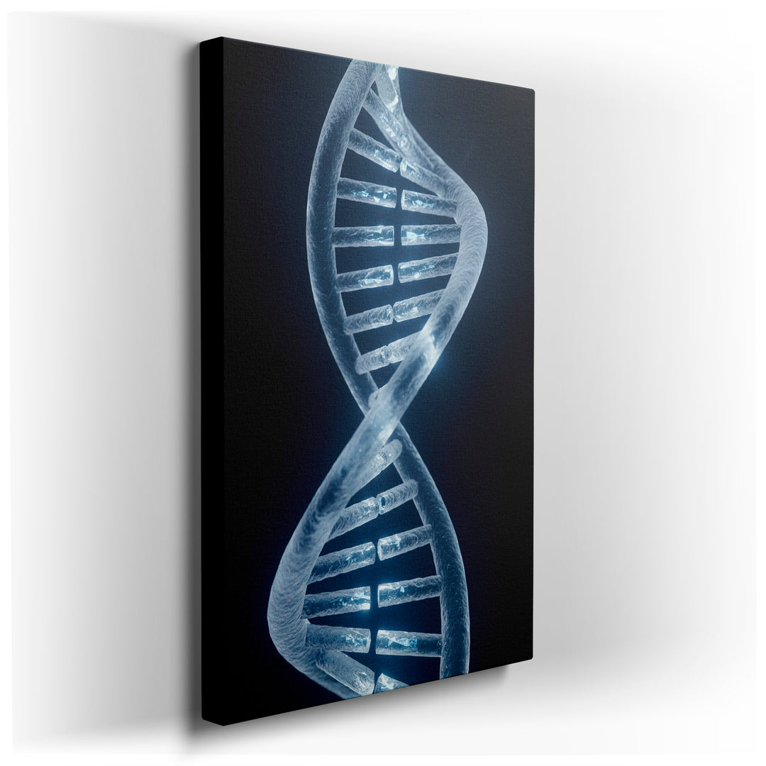 Close-up of a softly illuminated, translucent DNA double helix against a dark background. A striking piece of wall art.