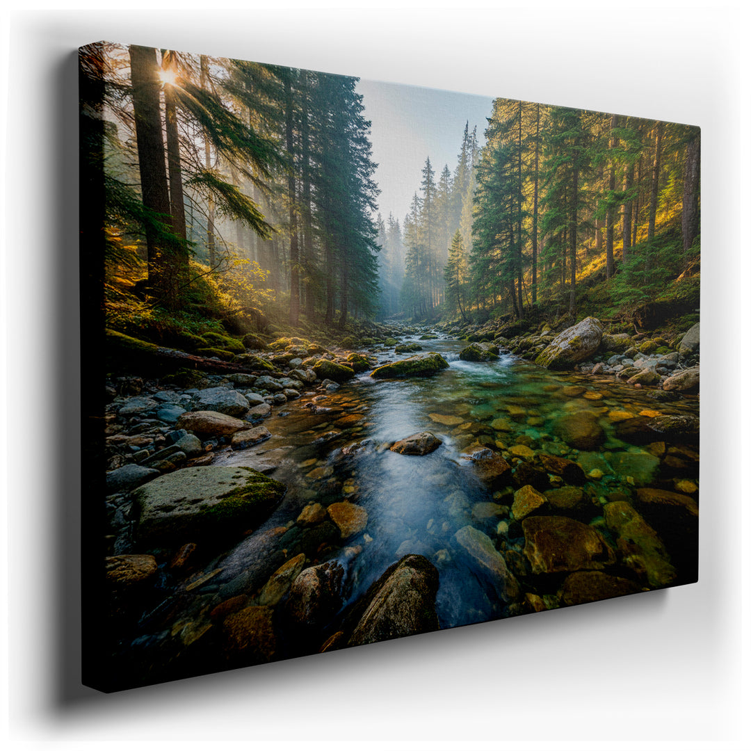 Sunlit forest stream wall art displays a clear water stream with mossy rocks and lush green trees on a high-quality wrapped canvas.
