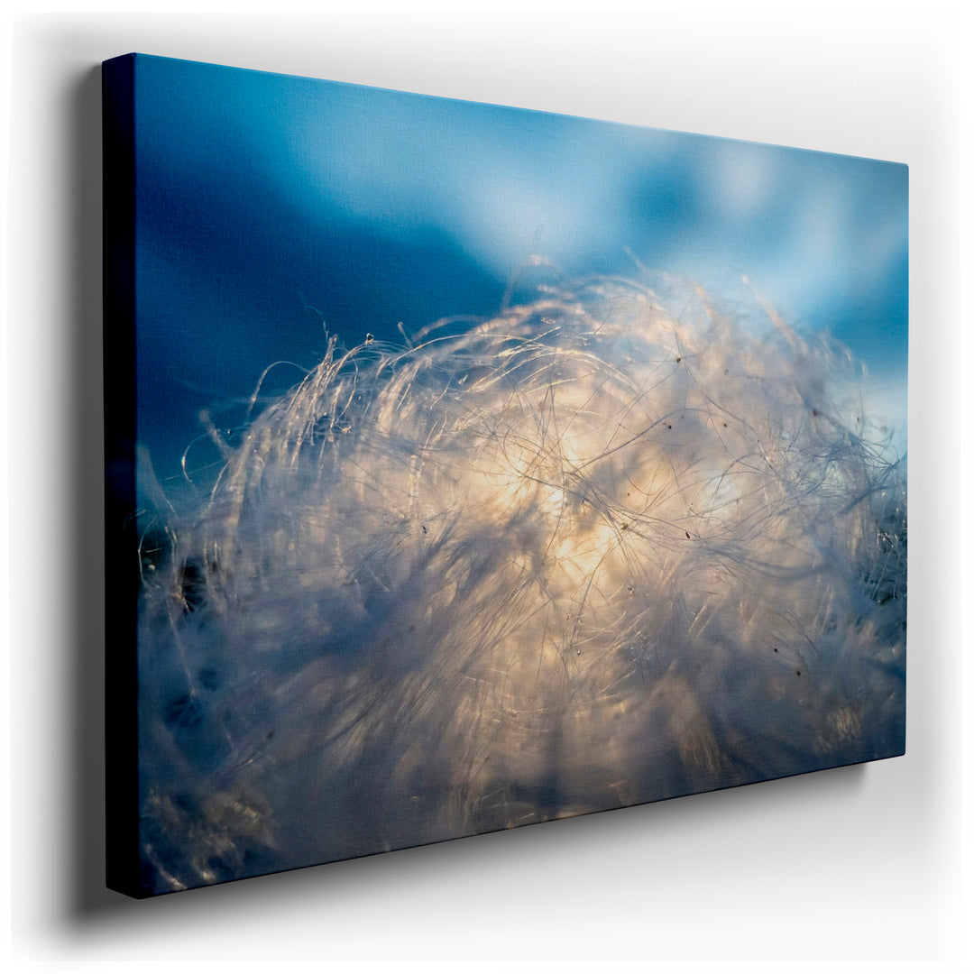 Close-up wall art featuring delicate dandelion seeds against a soft blue background, creating a dreamy, abstract aesthetic.
