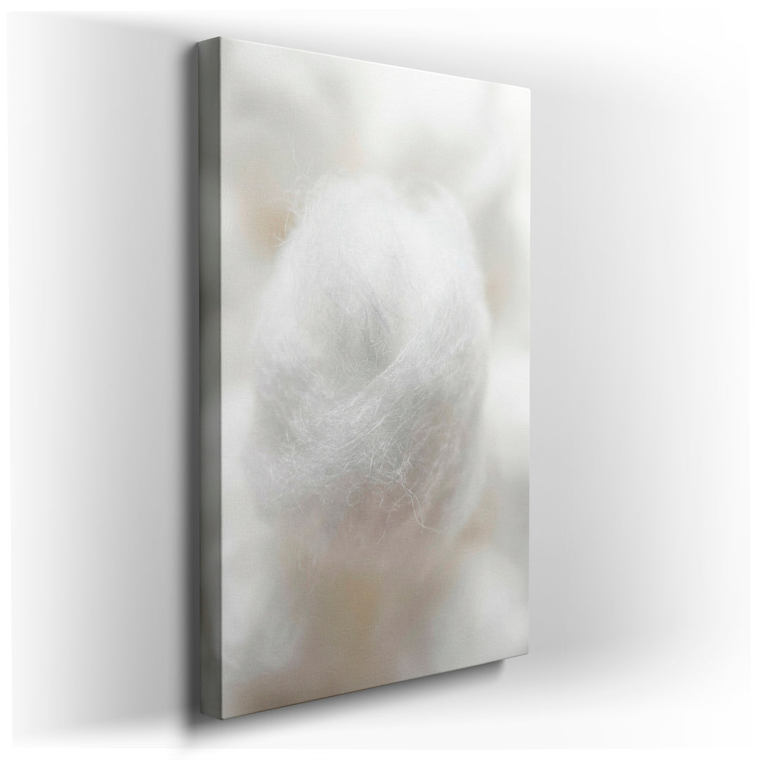 A close-up captures the soft, delicate texture of a cotton ball, creating a minimalist aesthetic wall art piece.