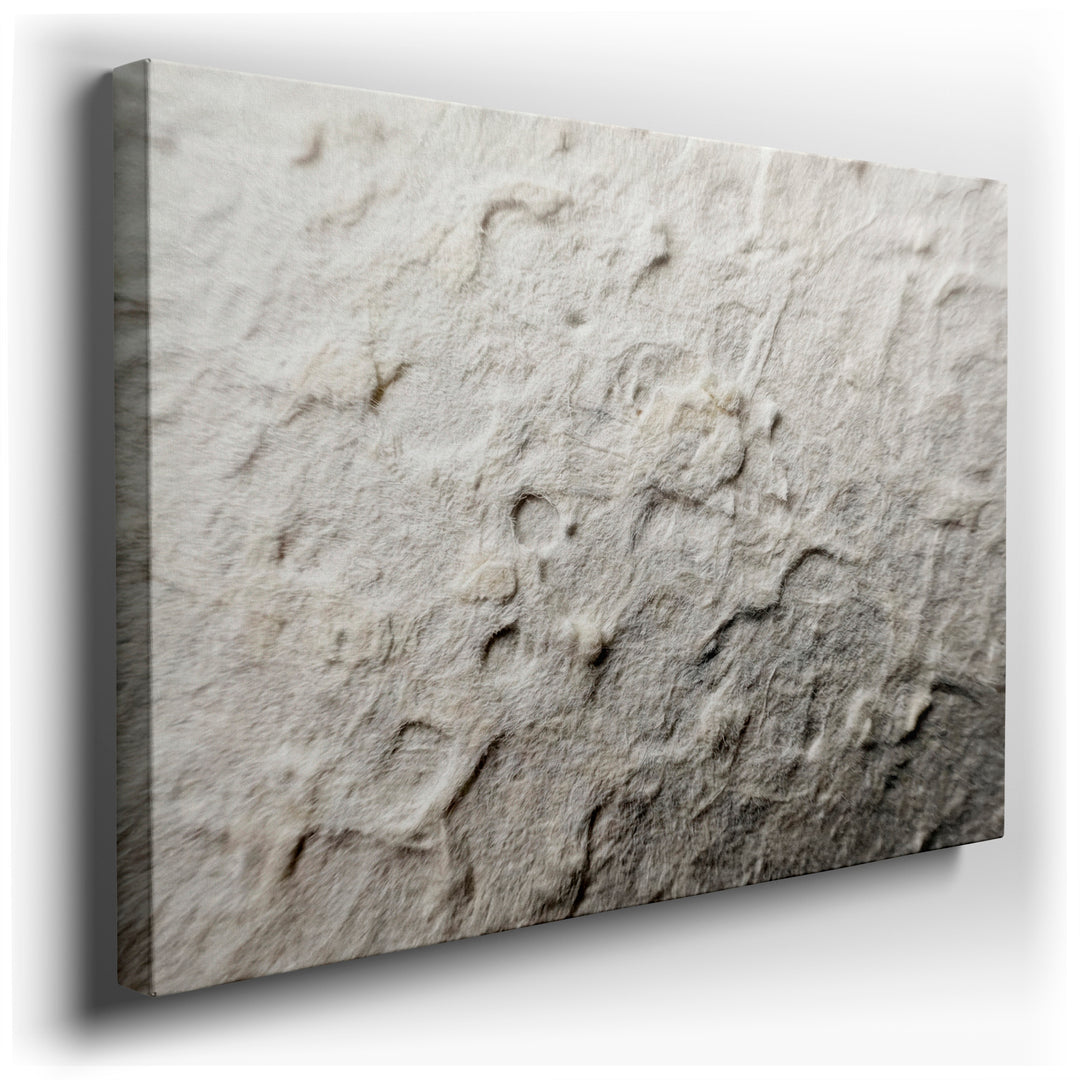 Close-up of textured white abstract wall art, showcasing intricate surface details in a contemporary design.