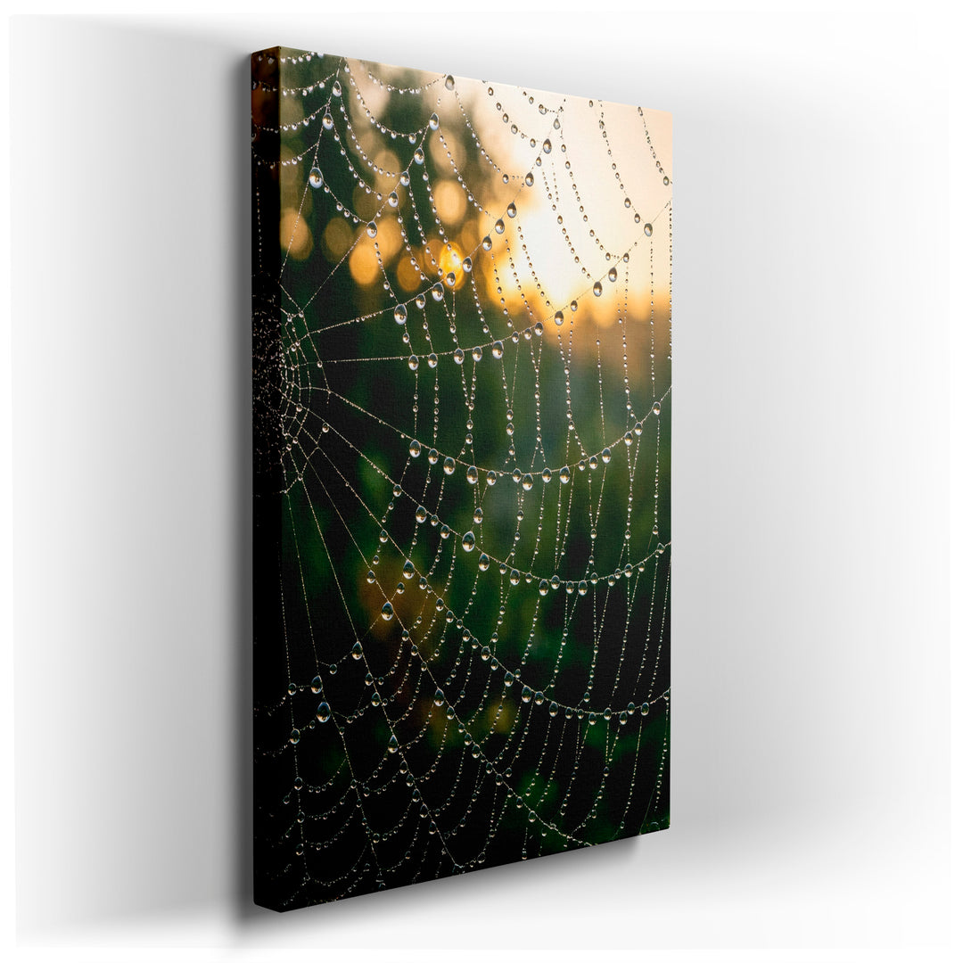 Close-up of a spiderweb covered in dew drops, glistening against a soft, blurred background; beautiful wall art.