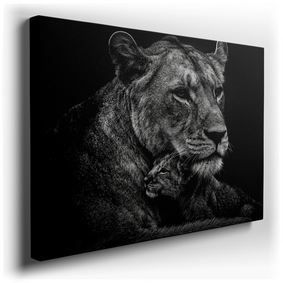 A monochrome image showcases a lioness tenderly embracing her cub, a touching moment rendered as artistic wall decor.