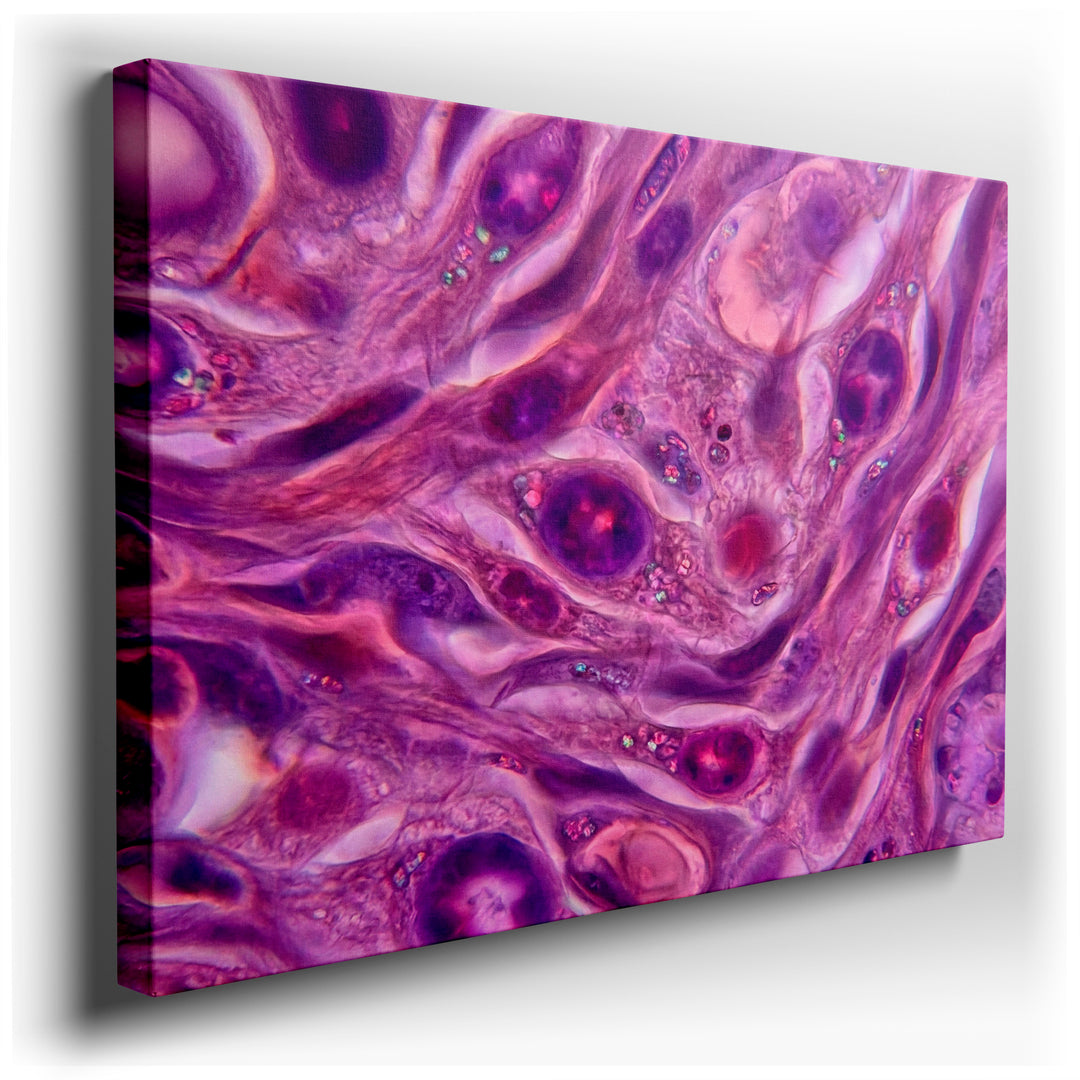 Detailed abstract wall art featuring a magnified view of cells with vibrant purple and pink hues, adding modern flair.