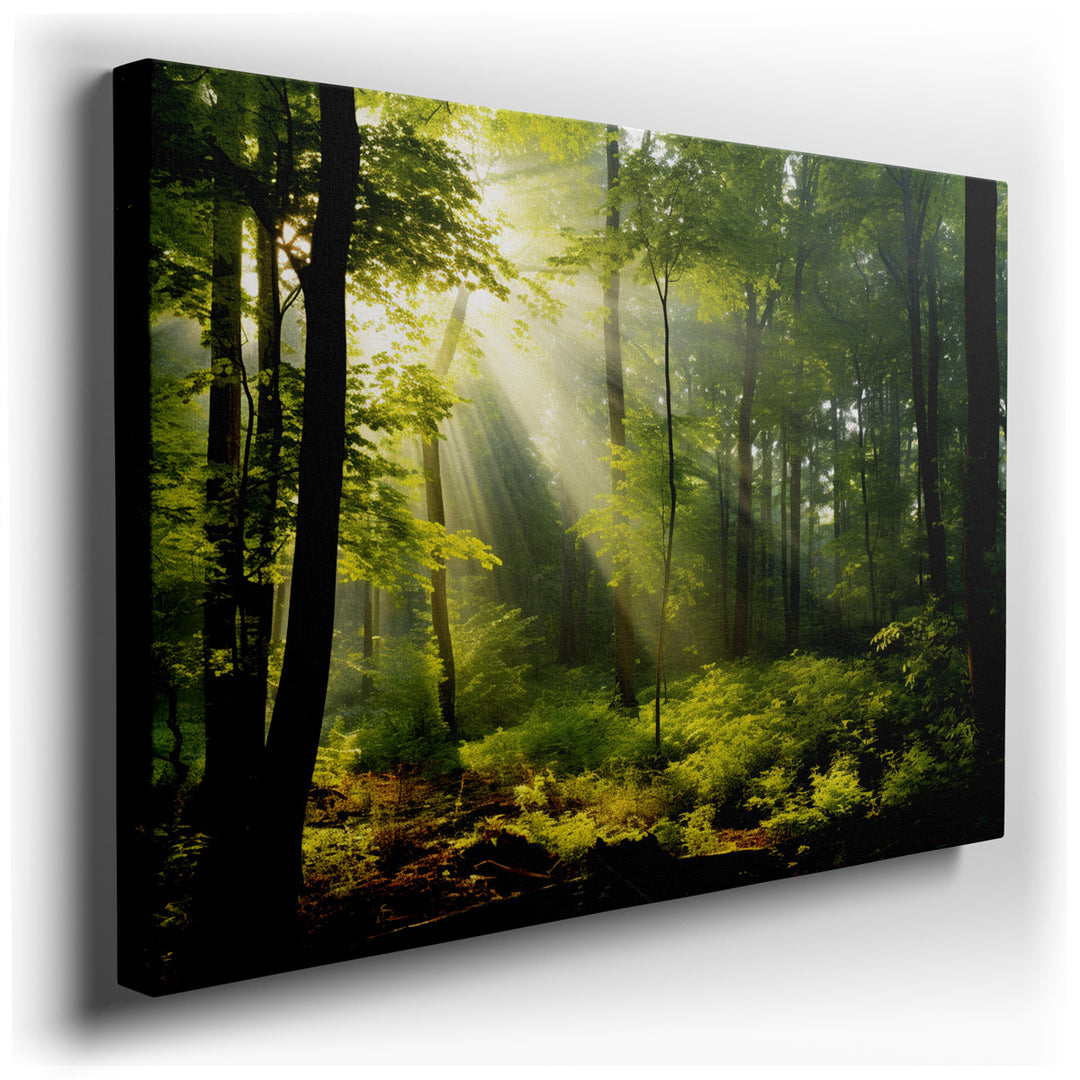 canvas print on wrapped canvas for wall decor – Imagine a wall art that captures the essence of a tranquil forest at the peak of daylight, where the sun's rays gently p...