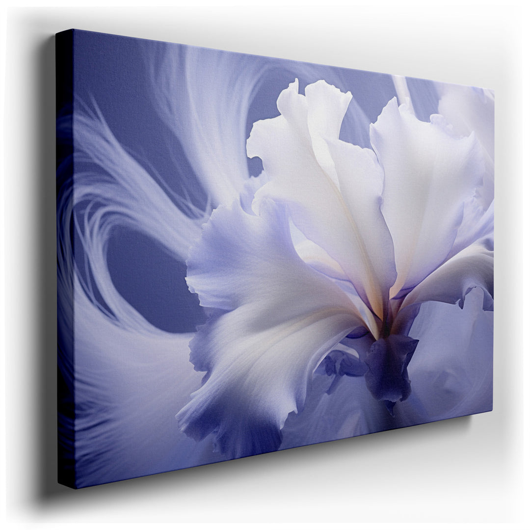 canvas print on wrapped canvas for wall decor – The wall art of the light purple iris is a masterpiece of subtlety and grace, capturing the delicate beauty of nature in...