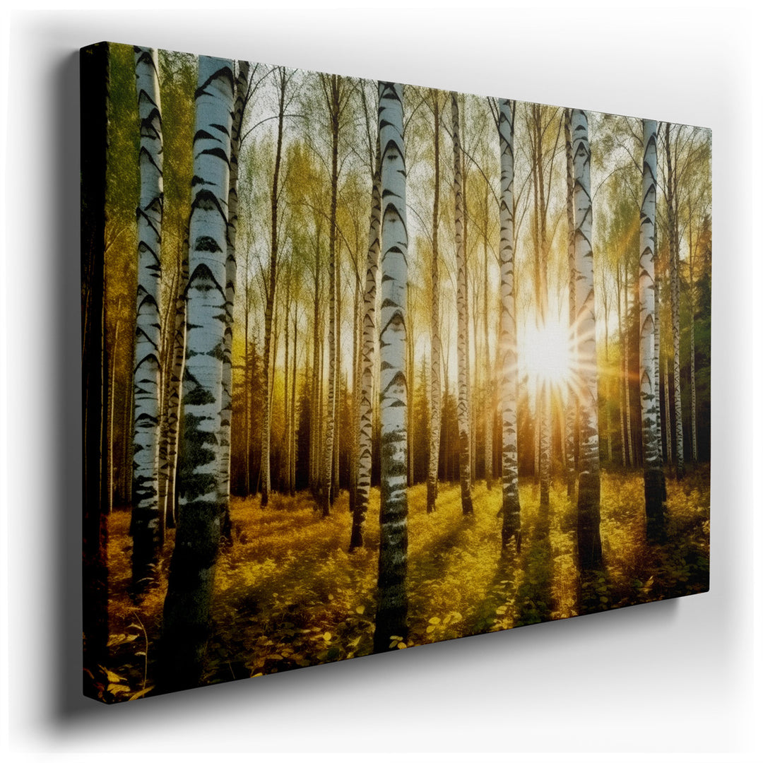 canvas print on wrapped canvas for wall decor – Experience the enchanting allure of golden hour captured in this mesmerizing wall art, where a birch tree forest is bath...