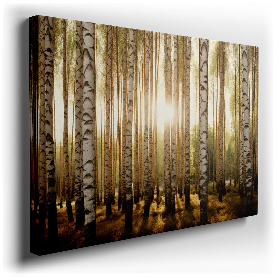 canvas print on wrapped canvas for wall decor – This enchanting wall art captures the essence of a serene forest, dominated by the elegant presence of tall birch trees....
