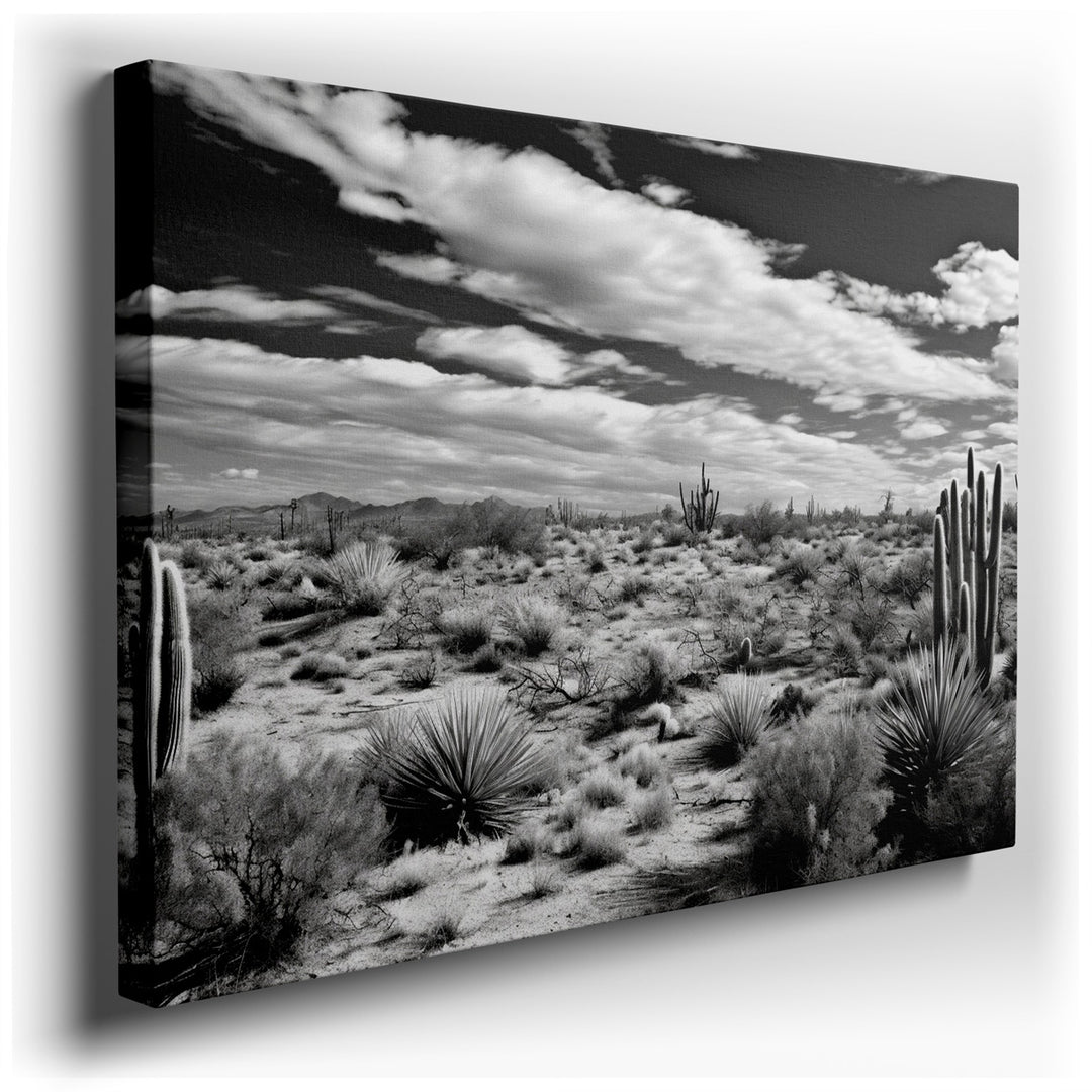 canvas print on wrapped canvas for wall decor – This captivating monochrome photograph presents a serene yet striking desert landscape, populated with an array of cacti...