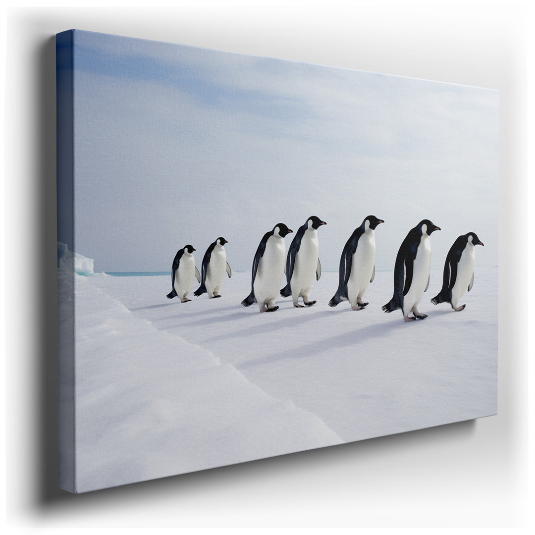 canvas print on wrapped canvas for wall decor – This enchanting wall art portrays a delightful scene of penguins waddling across a pristine, icy landscape, encapsulatin...
