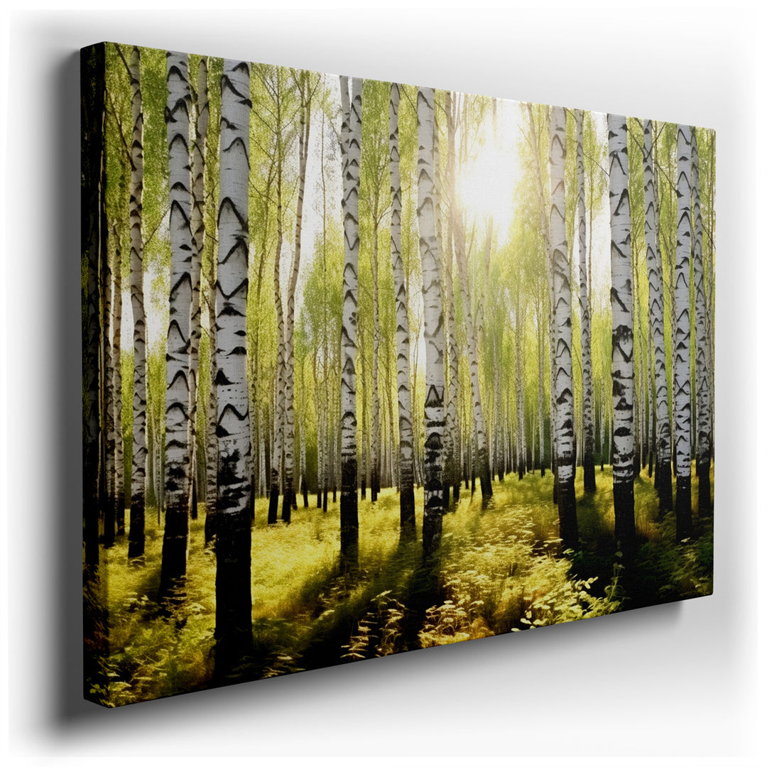 canvas print on wrapped canvas for wall decor – This enchanting wall art captures the serene beauty of a birch tree forest bathed in the gentle embrace of sunlight. The...