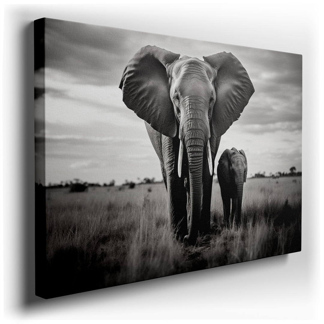 canvas print on wrapped canvas for wall decor – This evocative black and white photograph, masterfully capturing a serene moment in the wild, portrays a majestic pair o...